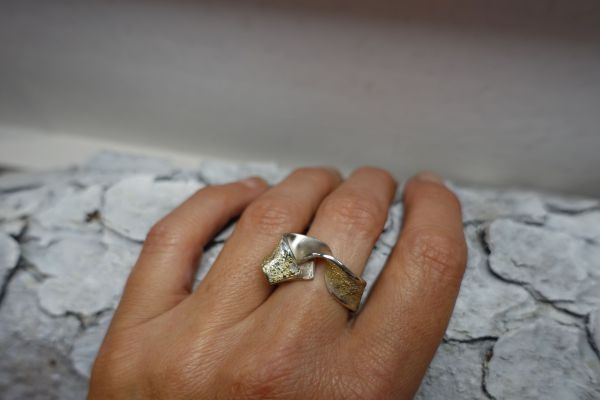 ring-goldschmiede-achleitner-kunst0FD92956-14A2-0AB2-C87D-67EE9FF818FA.jpg